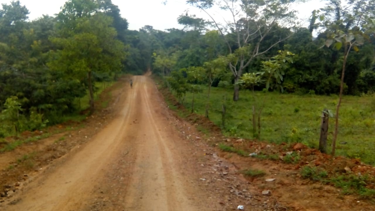 siuna